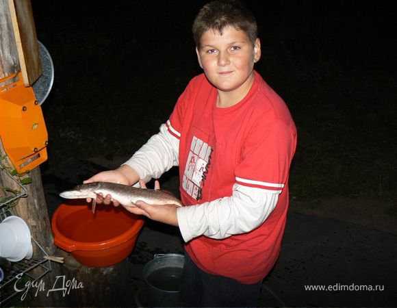 Почистить рыбу,картофель,морковь,лук.Развести костер.Налить в чугунок воды и довести до кипения,посолить и добавить мелочь.Довести снова до кипения и варить 5 минут.Процедить.