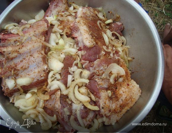 Ребра вымыть,обсушить и нарезать гармошками по 5-6 штук .
Натереть солью,перцем и приправой для свинины,смазать медом.
Лук нарезать тонкими полукольцами ,хорошо отжать сок.
В емкость выложить ребрышки,затем хорошо присыпать луком,сверху снова ребрышки.