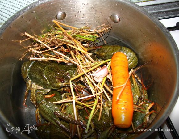 как закипит, кладем чищенную целую морковь, головку чеснока, укроп и солим так, как если бы вы пересолили блюдо. убавляем огонь до среднего кипения и варим 30-40 минут в зависимости от размера рака. даем настояться минут 20 и едим ГОРЯЧИМ! а рюмкой холодной водочки, так вообще смак.