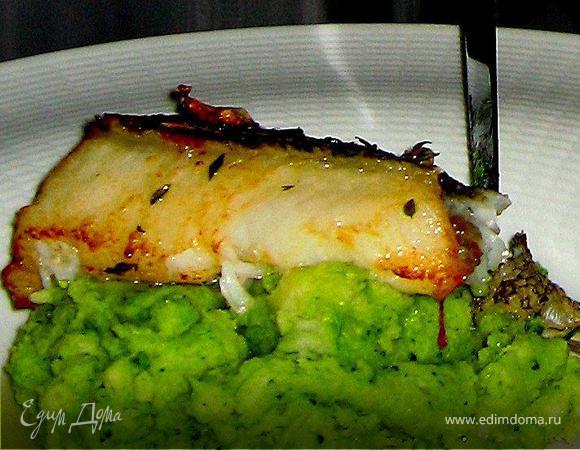 4.  Украшаем блюдо.

На просторную тарелку выложить зеленое пюре и украсить веточкой кинзы. Рядом выложить филе судака и дольку лимона. Украсить на свой вкус тонкими ломтиками свежего помидора и огурца.


ПРИЯТНОГО АППЕТИТА! 