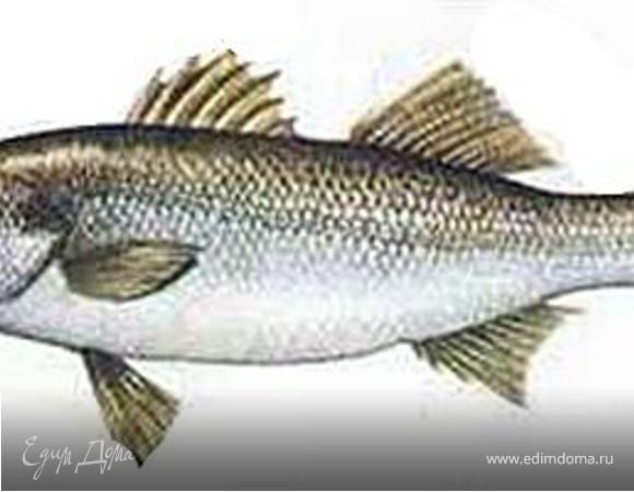 Сибас выпотрошить, очистить от чешуи, удалить жабры. С обеих сторон тушки сделать диагональный надрез (сверху вниз от головы до хвоста). Натереть рыбу паприкой, солью, белым перцем и чесноком (выдавить через пресс). 