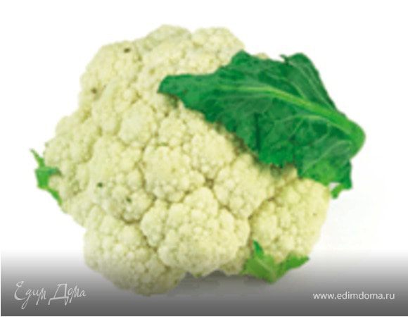 Белокочанную капусту, цветную капусту мелко нарубить. Морковь натереть на терке. Фасоль промыть от сока. Оливки и маслины нарезать кружочками, огурцы очистить от шкурки и нарубить кубиками. Чеснок очисть и измельчить.