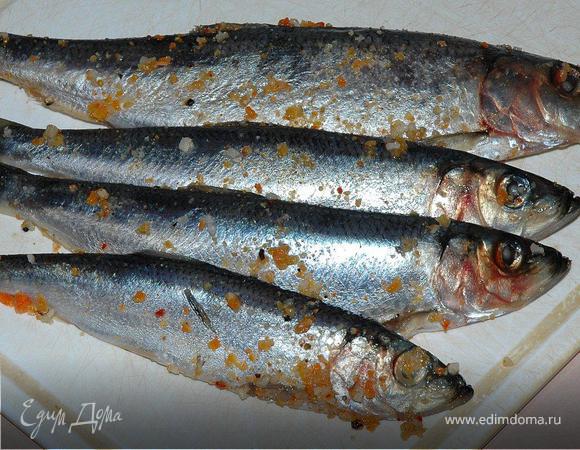 Подготавливаем «Салаку».

Свежую салаку промыть холодной водой, не потрошить, уложить в емкость для маринования. Посыпать солью, белым перцем, паприкой, сухим чесноком и полить соком половины лимона. Перемешать руками, натирая каждую рыбешку специями. Накрыть крышкой или пленкой и оставить мариноваться 2-3 часа в прохладном месте.
