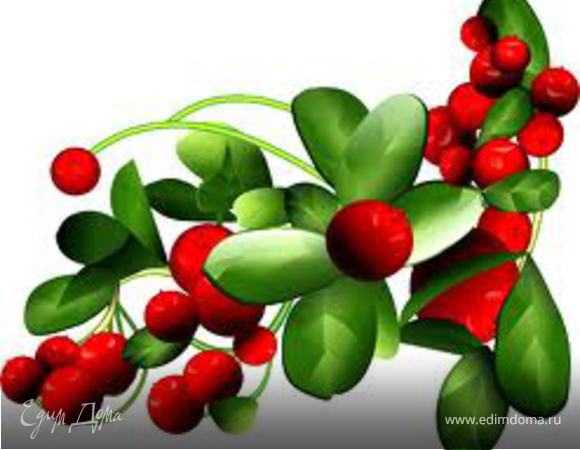 Филе выложить на кулинарную бумагу кожей вниз. Равномерно обсыпать крупной солью, затем сахаром. Укроп крупно порубить и выложить поверх филе.  Добавить ягоды сушеной брусники.