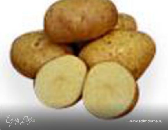 В керамический противень налить две СТЛ оливкового масла и положить цыплят. Картофель хорошо промыть от земли, разрезать пополам и положить в свободные места на противне. Добавить дольки белого лука и оставшийся чеснок. Овощи посыпать остатками специй с разделочной доски, можно немного подсолить и сбрызнуть оливковым маслом.