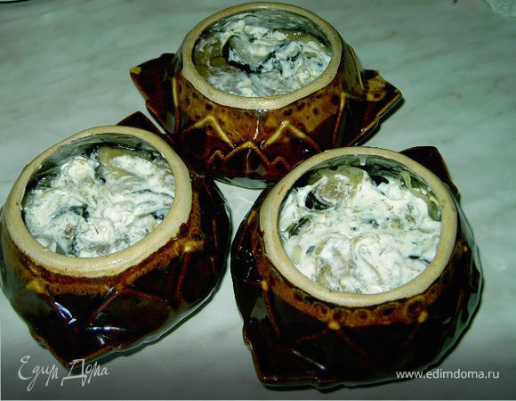 В смазанные маслом горшочки положить слоями баклажаны и лук,смазывая сметаной каждый слой лука.Если сметана густая,можно добавить в горшочки немного воды,чтобы баклажаны не подгорели.