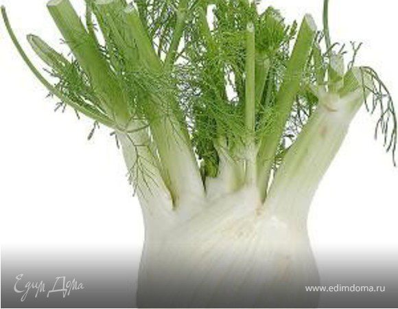 За это время фенхель подварить в отваре от картофеля 2-3 минуты. Белый лук ошпарить кипятком, посолить, добавить оливковое масло и сок лимона, перемешать.