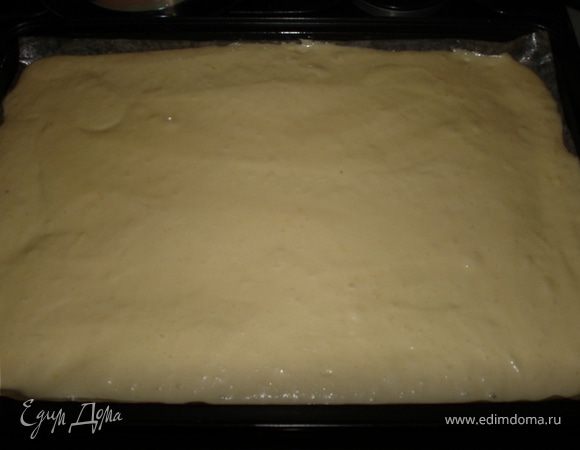 Просеять сверху муку и тщательно, аккуратно перемешать, в заключение медленно влить растопленное сливочное масло и вымешать тесто. Бисквитную массу вылить на противень.