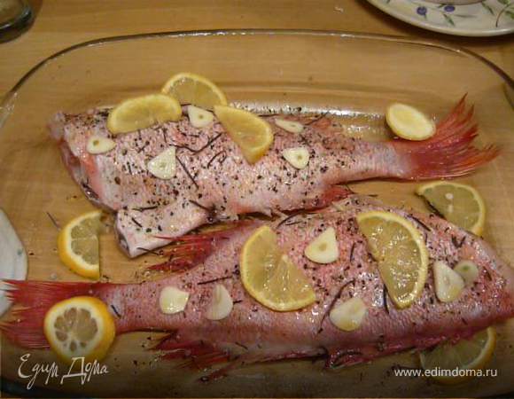 Почистить, вымыть и обсушить полотенцем рыбу.
Дно жаропрочной формы смазать оливковым маслом.
Рыбу посолить, поперчить, положить в форму. Зубчики чеснока нарезать тонкими пластинами, положить на рыбу, несколько пластин положить в брюшко. Добавить розмарин - на рыбу и так, чтобы пара веточек оказалась частично под рыбой. Кружочки лимона разложить на рыбу и вокруг. Все это сбрызнуть оливковым маслом. 