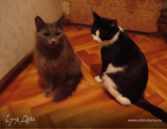 А вот этим грустным красавицам ничего не перепало!))Они сидят и тужат...