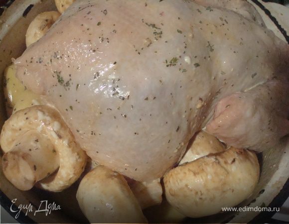 Готовим маринад - соевый соус плюс  нат. йогурт+ два зубка чеснока , мелко нарубленного. Смазываем им нашу курочку, и ставим в сторонку на пол часика. За это время подготовим картошечку - почистим, порежем на четвертинки, присыпаем сухим базиликом, сухой петрушечкой, и остатками соуса, которым смазывали нашу курочку. 
теперь выкладываем на дно сотейника, в котором будем запекать курицу картофель, на него курочку. и по бокам грибочки(целиком, смазав их соусом.)