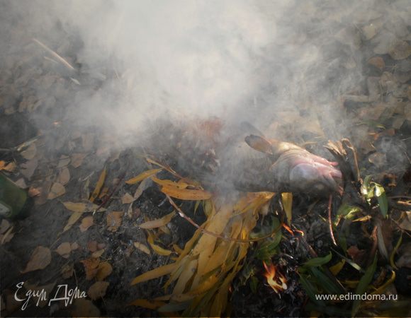 Развести костер, судака подвесить на дерево, чтоб просох. Когда дрова перегорят одеваем судака на палку и на огонь. Переворачивая жарить до готовности. В конце сорвать листья осоки бросить в костер и прокаптить судака 10 минут. Приятного опетита!