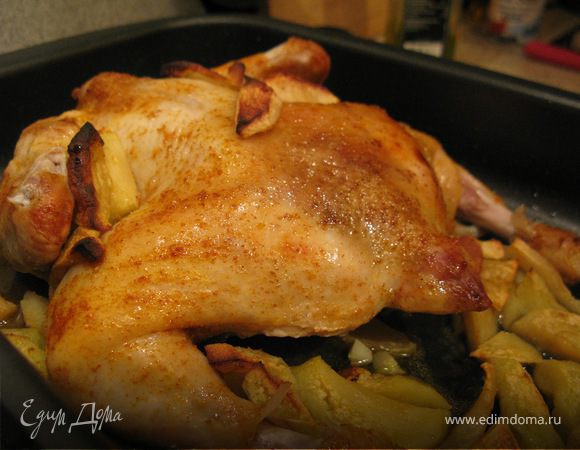 Цыпленка натереть специями и нашинковать мелко нарезанным чесноком с внутренней стороны.
Яблоки помыть и нарезать дольками. 
Форму смазать оливковым маслом, а также немного смазать цыпленка.
Дольки яблок выложить вокруг и поставить в духовку.
Выпекать при температуре 180-200 градусов. Через 30 минут достать ароматного и зажаренного цыпленка.
На гарнир я приготовила цветную капусту :)