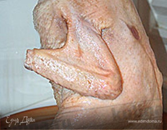 Теперь натрите утку солью. Возьмите стакан, вставьте его в утку и поставьте утку на блюдо. Подготовленную таким образом птицу необходимо поместить в холодильник на 12 часов. Периодически выливайте жидкость из блюда.