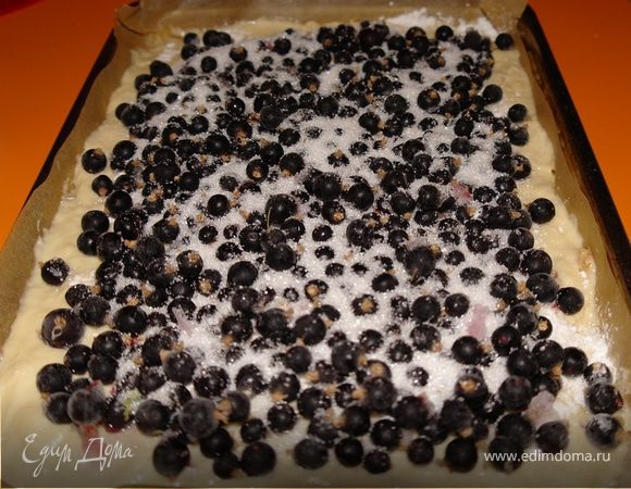 Поставить емкость с тестом в теплое место на 1 час - подходить. Затем добавить изюм (вымытый и запаренный) и еще немного муки. Промесить. Тесто должно оставаться липким, но упругим.
Противень застелить бумагой для выпечки (у меня была с силиконовым покрытием, поэтому я ее не смазывала), смазать сливочным маслом и выложить половину теста. Разровнять. Припудрить крахмалом. Выложить ягоду. Посыпать ягоду сахаром.