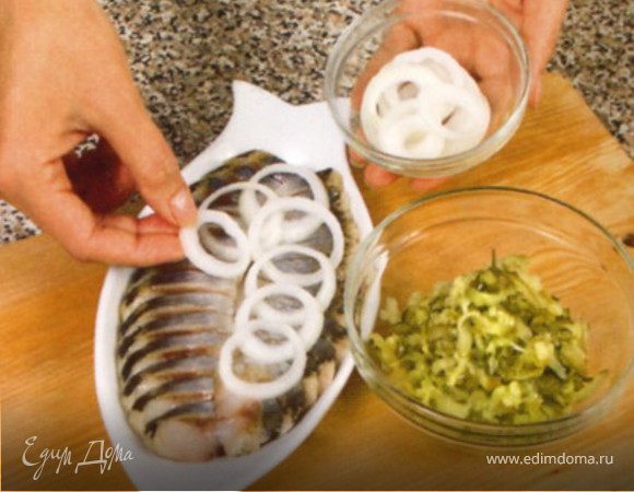 Самое главное: празднично сервируем!
Берём селедочницу и праздничный салатник.
 1.На дно селедочницы выкладываем нарезанный тонкими кольцами сладкий репчатый лук. Сбрызгиваем его оливковым маслом. На лук аккуратно выкладываем кусочки сельди. Украсить веточками ароматного свежего укропа.
 2. Винегрет выкладываем в праздничную салатницу. Украшаем веточками ароматного свежего укропа.
  Закуска "За здоровье!" готова! До подачи на новогодний стол - поставить в холодильник, накрыв пищевой плёнкой.

