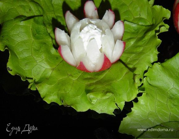 Творожный сыр помещаем в серединку цветов. Цветы устанавливаем на листья салата.