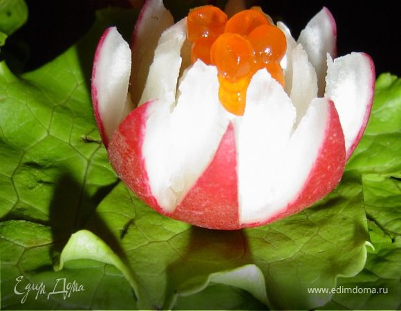 Закуска готова!