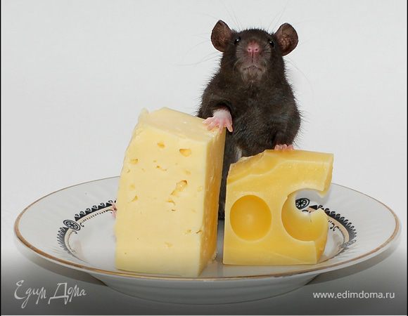 Снег из тёртого сыра.