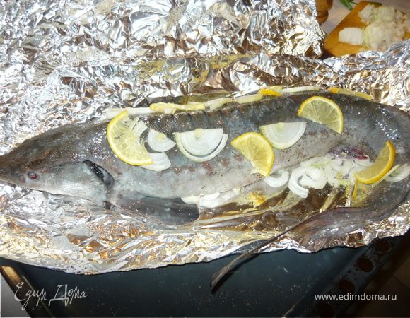 Рыбу обсушить бумажным полотенцем. Посолить, поперчить, положить на фольгу. Под брюхо положить лук полукольцами, к бокам тоже приложить кусочки лука и лимона. Закрыть куском фольги.
Запекать при температуре 200 градусов около 30 минут. 