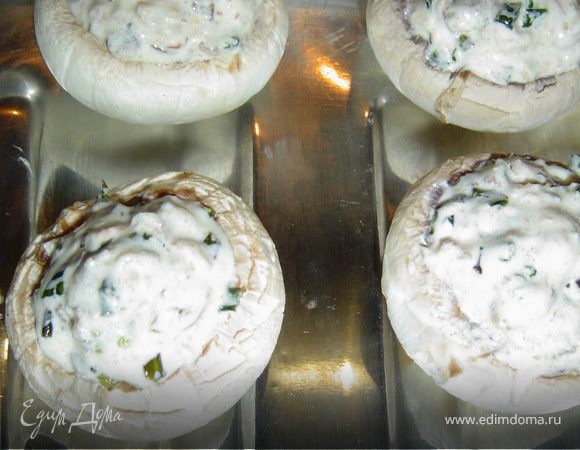 К грибам и луку добавляем креветки и сметану, соль и перец, перемешиваем.Приготовленной начинкой начиняем шляпки грибов 