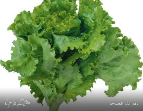 листья салата рвем руками