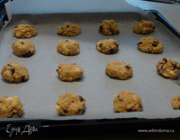 Масло с сахаром перетереть до белого цвета массы, добавить яйца. Отдельно смешать муку, овес, разрыхлитель и соль, вмешать в масляную массу. Добавить клюкву и кусочки шоколада. Охладить часа 2.
Духовка 190С. На бумагу выложить шарики, размером с грецкий орех (чуть больше), выпекать 12-13 минут, остудить на решетке.
