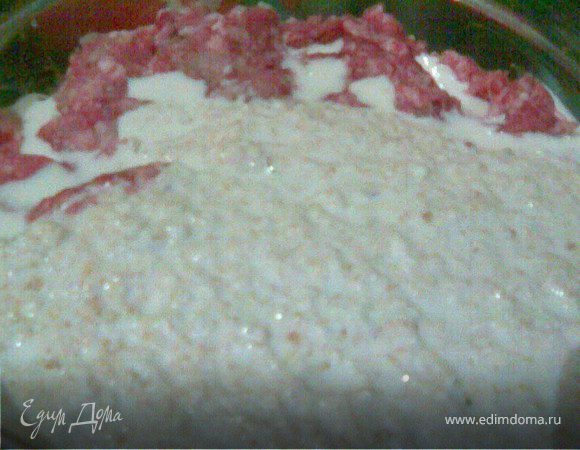 Хлопья овсяные залить горячим молоком и дать немного настояться.Яйцо взбить и смешать с хлопьями,потом всё это перемешать с фаршем,добавить специй,хорошо перемешать, побивая.