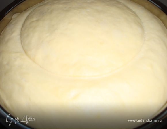 Часа через 1,5-2 проверяем, как тесто подошло (в зависимости от температуры в помещении времени может потребоваться больше или меньше). Однажды произошел такой случай: осенью, когда уже стало холодно, а отопление никак не включали, мне нужно было завести тесто, первый раз оно у меня поднималось часа 4 или 5. На фото на тесте видна окружность - это след от крышки для миски.