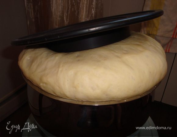 Через некоторое время (второй раз тесто поднимается немного быстрее) снова проверяем тесто. Если оно поднялось до такого же объема, как и в первый раз или чуть выше - оно готово. Разделываем тесто и выпекаем пироги или что Вы захотите.