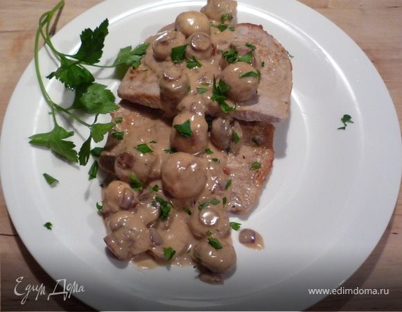 Петрушку порубить. На тарелку выложить шницель, полить соусом, посыпать петрушкой. В качестве гарнира подойдет зеленый салат с помидорами или картофель. Приятного аппетита!