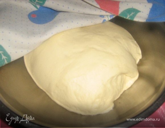 Муку смешиваем с дрожжами. Яйцо взбиваем с сахаром и солью, добавляем молоко и масло. В 300 граммов муки вливаем смесь яиц , молока и масла. Замешиваем тесто. Даем постоять 10 минут. Вмешиваем остальную муку. Оставляем тесто отдыхать на 20-30 минут. Тесто должно быть эластичным.