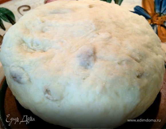 Залить дрожжи теплой водой, добавить стакан пшеничной муки и пол стакана муки грубого помола, мюсли и изюм ,замесить опару, оставить минут на 20—40 в теплом месте. Изюм предварительно залить кипятком минут на 5.
Затем добавить в тесто оставшуюся муку, оливковое масло и соль, замесить тесто. Тесто не должно липнуть к рукам. Будет липкое -побольше муки