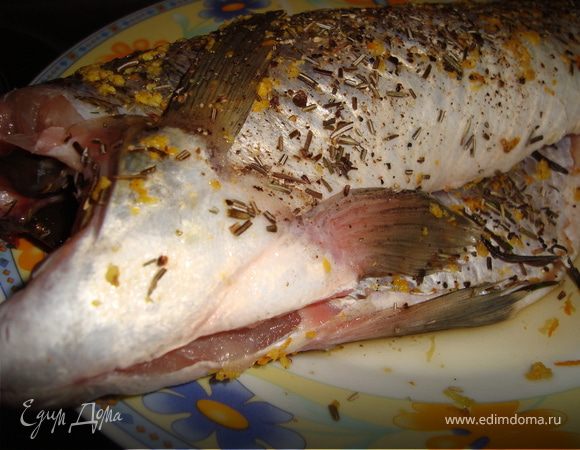 Тушку судака натереть ароматной морской солью, свежим и сухим розмарином. Отправить в холодильник на ночь.