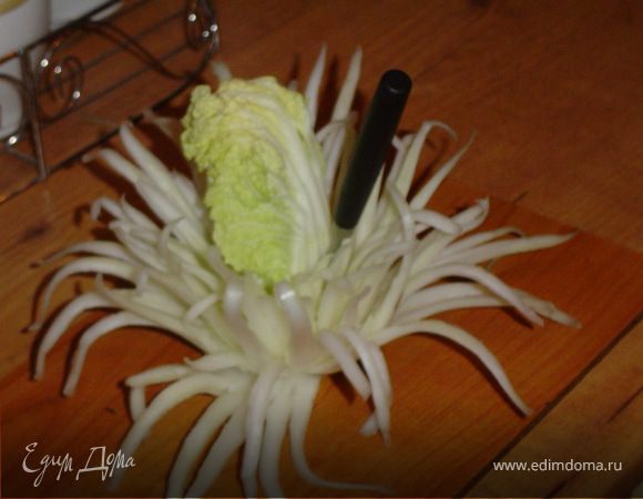 Начало среза делаем тонким, утолщая его к основанию. Таким образом проходим по всей белой части листа, а затем аккуратно подрезаем ножом лист между "лепестками" и удаляем ненужную часть листа. В результате остаются только белые "лепестки".