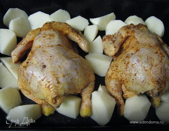 Курочки начинить. Запекать в духовке 45мин. Лимонный сок смешать с маслом и медом, полить курочки и ище на 10мин.
