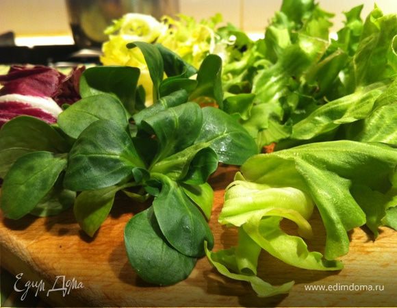 Салатные листья вымыть и высушить. 