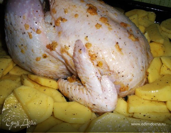 Духовку предварительно разогреть до 200°С. 1. Приготовить смесь из измельченного честнока, 3х ст. ложек растительного масла, перца, соли и сухих трав. 
2. Натереть курицу смесью, во внутрь положить кусочек сливочного масла.
3. Нарезать картошку, влить в нее 3 ложки растительного масла, посолить, поперчить. Хошо перемашать.
4. Противень смазать растительным маслом. В середину уложить курицу, вокруг нее картошку. 
5. Выпекать 50-70 мин.