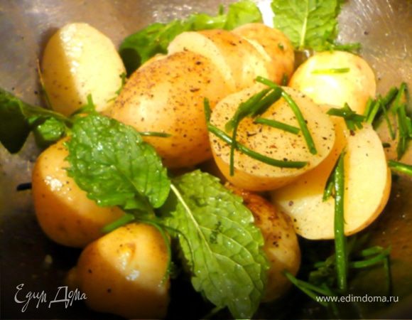 Подавать с дольками лимона и сметаной. На гарнир замечательно подходит молодая картошечка сбрызнутая оливковым маслом и лимонным соком и посыпанная мятой и шнитт-луком (зеленым луком)! Ням-ням :)))

