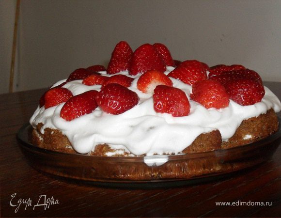 Взбить яйца с солью и сахаром,добавить сметану и хорошо перемешать.Всыпать все сухие ингридиенты и перемешать.Тесто влить на бумагу для выпечки,смазанную маслом канолы(другим растительным маслом).Просто это масло без запаха.