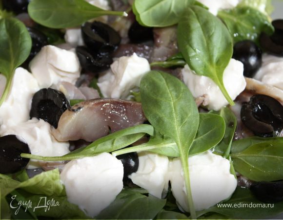 Селедку чистим, моем, отделяем от костей. Нарезаем филе селедки полосками, как можно тоньше. Поливаем соком лимона и одной столовой ложкой оливкового масла. Оставляем мариноваться на 30 минут. На тарелку выкладываем листья салата (у меня еще были молодые листочки шпината). Поливаем оставшимся оливковым маслом. Выкрадываем маринованую селедку. Отдельно смешать сметану и сыр с помощью вилки. Чайной ложкой разложить сметанно-сырный соус поверх селедки. Украсить маслинами, разрезаными на две части, и листьями салата.