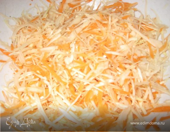 Шинкуем капусту очень тоненько, на сколько это возможно.Лук точно так же полукольцами.Морковь трем на терке. Добавляем тмин или кореандр. Хорошо перемешать руками.Не мять!!!