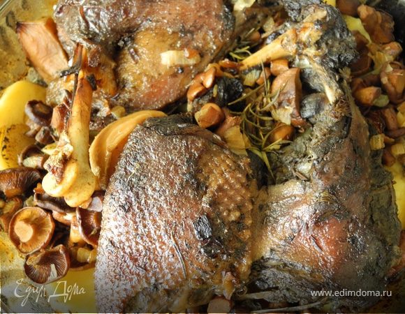 Затем гуся вместе с маринадом уложить в глубокую жаропрочную форму, посолить и поставить в духовку, нагретую до 225 градусов, через 30 минут убавить огонь до 170 градусов и запекать в течение 2-3 часов (пока не станет мягким), несколько раз переворачивая. Я накрывала крышкой, можно закрыть фольгой. Пока гусь запекается приготовим сопровождение. Мелко нарезать луковицу, обжарить на небольшом количестве масла или гусиного жира. Добавить замороженные лисички, посолить и потушить 15-20 мин. Картошку очистить, порезать толстыми кружочками. Вытащить гуся из духовки, положить к нему картошку, сверху - грибы, добавить несколько веточек розмарина и запекать минут 40 до готовности картошки. Когда ко мне пришли гости, сказали, что аромат услышали, заходя в подъезд. Приятного аппетита.