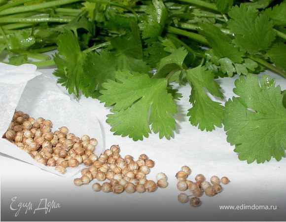 В большой кастрюле довести до кипения томаты, перцы и чеснок. Потомить на небольшом огне минут 10. Посолить, измельчить блендером, но не сильно, не в пюре! 
Вымыть и покрошить кинзу.