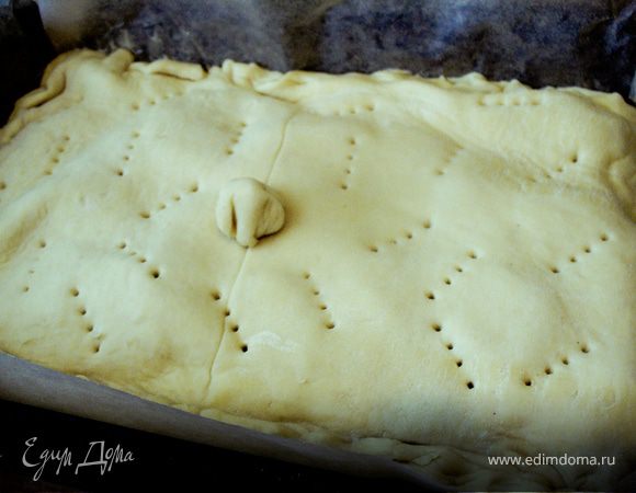 Накрыть вторым пластом теста, слепить бортики.
Проколоть вилкой несколько дырочек, смазать желтком.