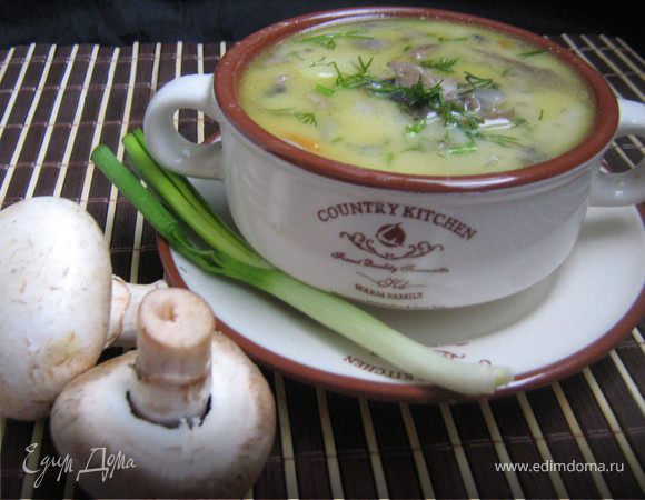 Шампиньоны вымыть, нарезать тонкими пластинами. Овощи очистить.Лук и картофель порезать кубиками,Сельдерей маленькими кусочками,морковь – соломкой. Зеленый лук вымыть и нашинковать.
В кастрюле обжарить в масле фарш, 5 мин. Добавить шампиньоны, готовить 3 мин. Выложить нарезанные овощи, готовить 5 мин.
Влить воду, довести до кипения, положить картофель и варить,пока картофель не будет готов, постепенно добавляя сыр. Приправить солью и перцем, посыпать укропом и готовить еще 1 мин.Разлить по тарелкам,посыпать измельчённой зеленью или мелко нарубленным зелёным луком.Приятного аппетита!