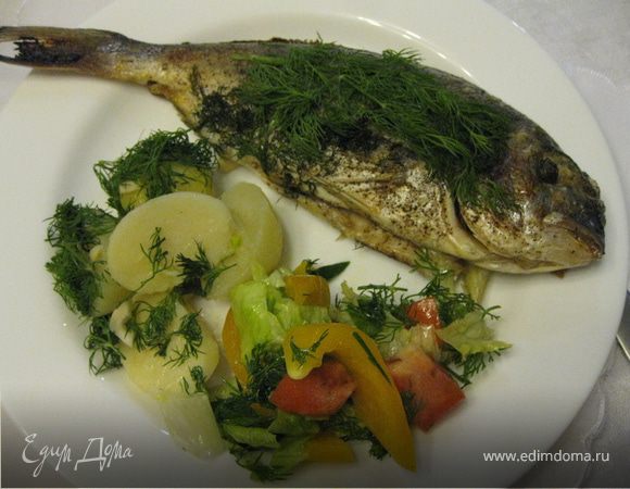 Отправить в духовой шкаф, предварительно разогретым до 180градусов. Выпекать 25-30мин.
Перед подачей еще раз накрыть укропом. Идеально присыпать каперсами. Подавать со свежими овощами. Гарнир - отварной картофель или рис. Приятного аппетита!