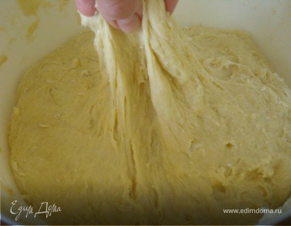 Вот такое! Тесто должно подняться два раза, его нужно обминать. 
