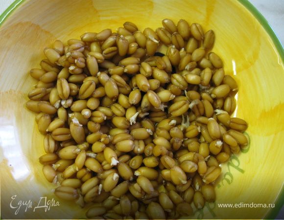 Перебрать, промыть и прорастить пшеницу. Для этого намоченную ткань расстелить на лотке в несколько слоев, насыпать пшеницу, прикрыть тканью, залить водой на 1-2 мм. По мере высыхания ткань увлажнять. Проращивать зерна в теплом, затемненном месте 1-2 суток, при появлении ростков (не более 2 мм)промыть в кипяченной воде. Пророщенную пшеницу можно хранить в холодильнике 2-3 дня.