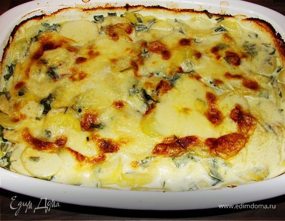 Выпекать в разогретой духовке 40-50 минут. За 10 минут до готовности выложить поверх картофельного гратена моцареллу, порезанную кружками. И выпекать до готовности и золотистой корочки.